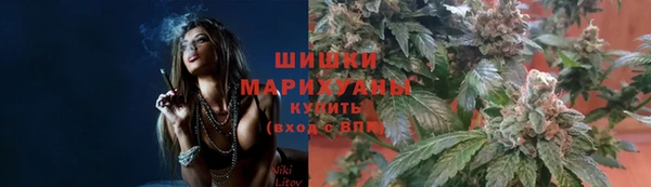 крисы Красноперекопск