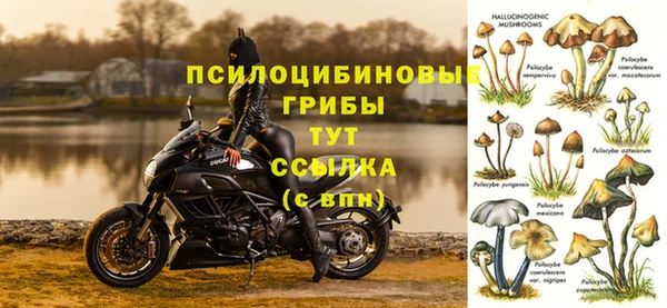 шишки Кукмор